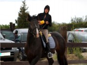 2011Mercedes&Zeus