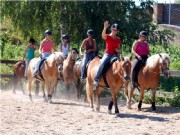 Horseball1