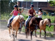horseball2