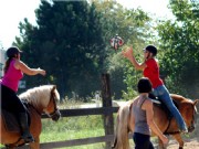 horseball3