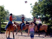 horseball6