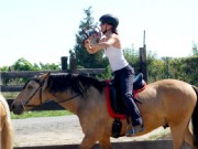 horseball7