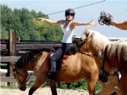 horseball8