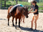 horseball10