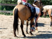 horseball11
