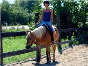 horseball15