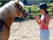 horseball16
