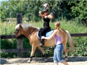 horseball17