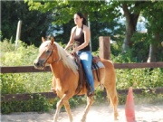 Turnier1