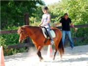 Turnier12
