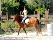 Turnier14